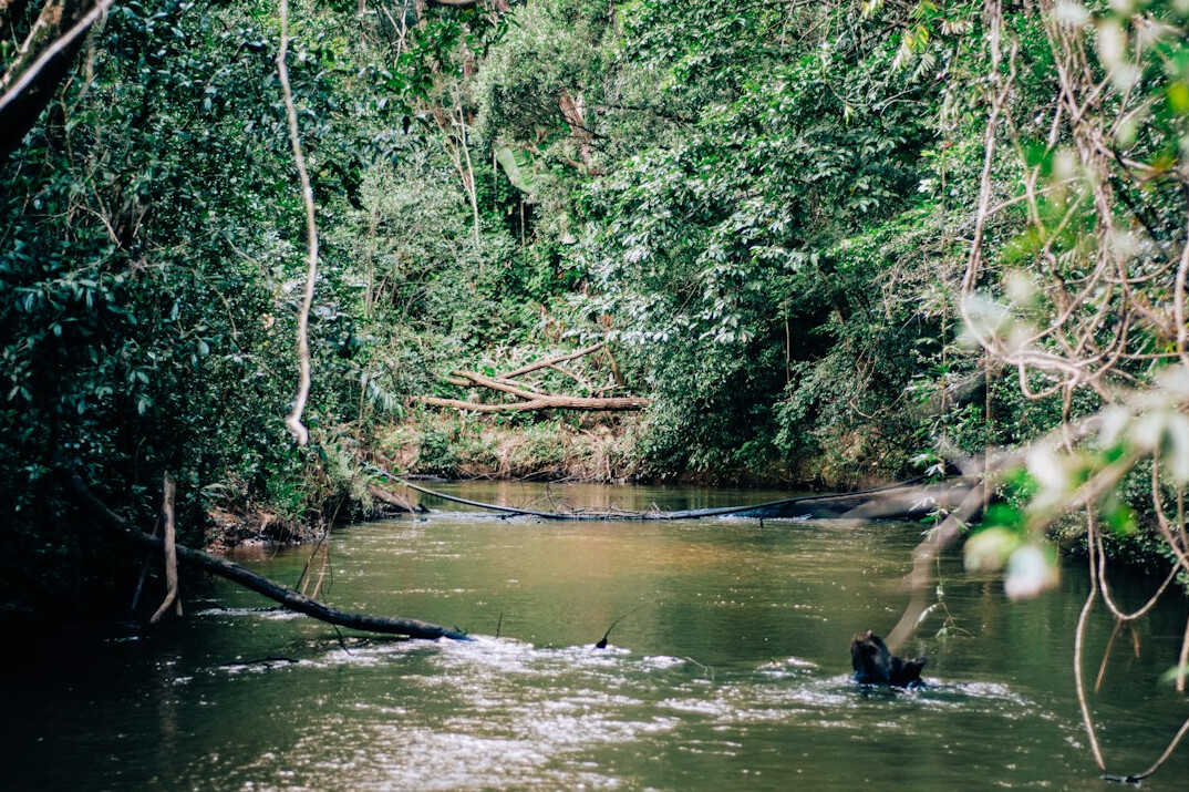 environmental investigation